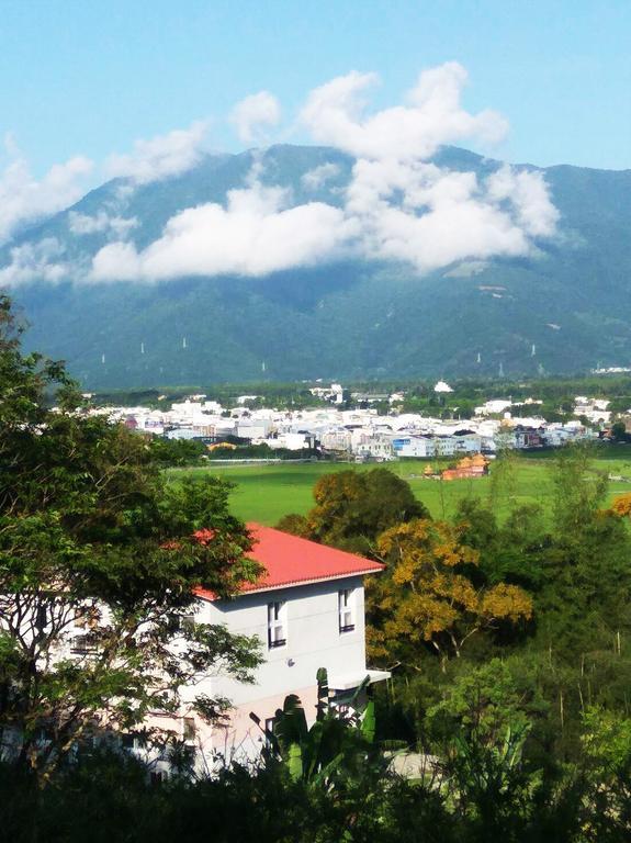 池上大坡山居莊園公寓 外观 照片